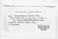 Chloridium caesium image